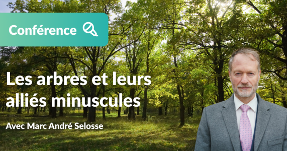 Conférence - les arbres et leurs alliés minuscules