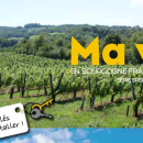 Attractivité résidentielle