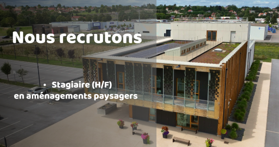 Recrutement - Offre de stage