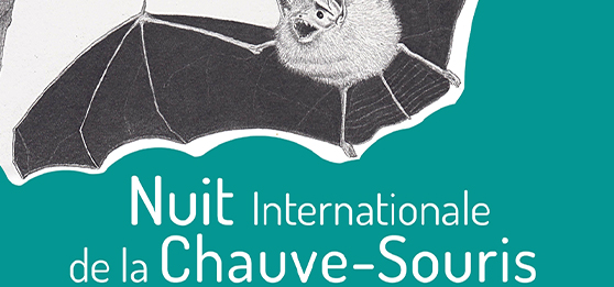 30ème nuit internationale de la chauve-souris