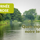 Demi-journée thématique Leptospirose