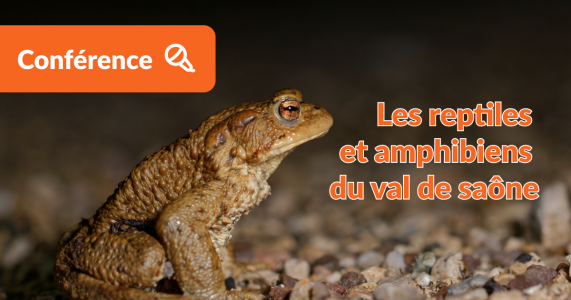 Conférence herpétofaune