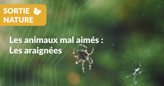 Sortie nature