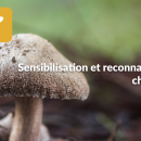 Sensibilisation et reconnaissance des champignons